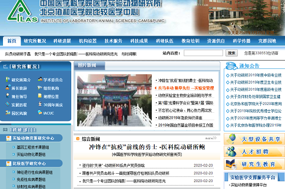 图片3